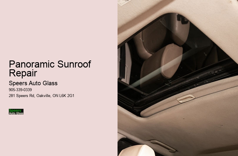 Panoramic Sunroof Repair