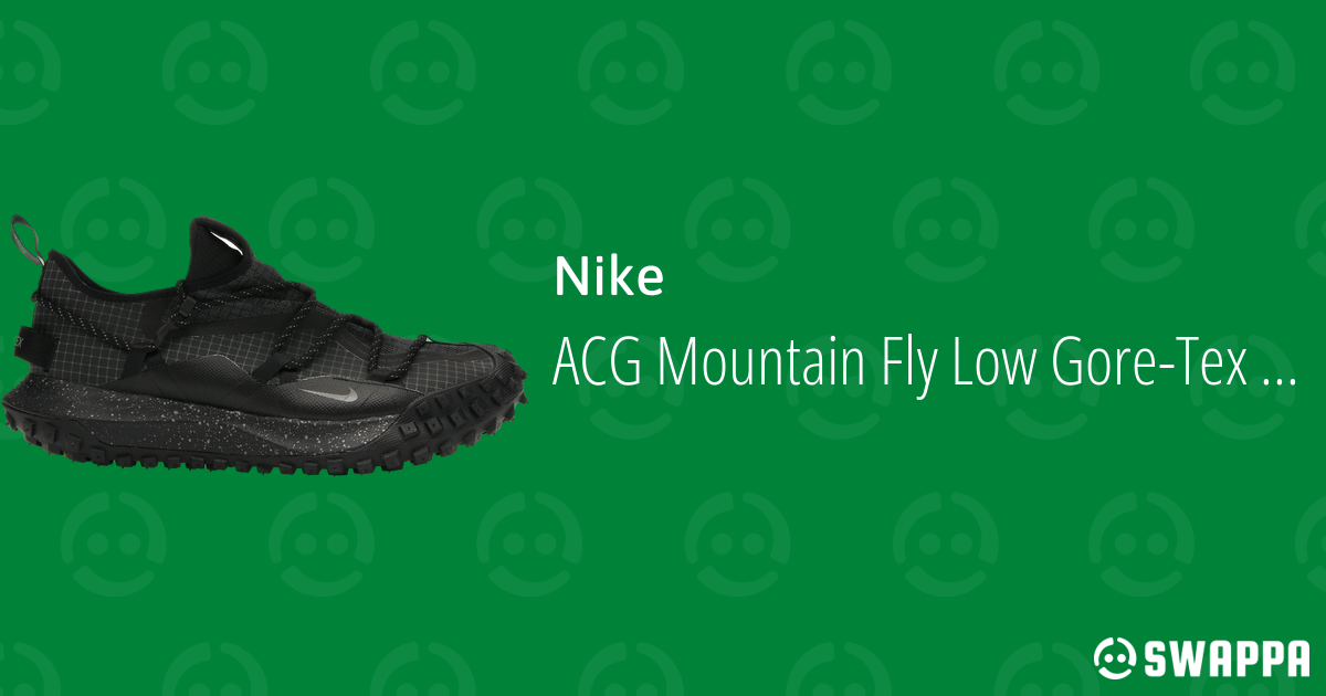acg mountain fly gore tex low