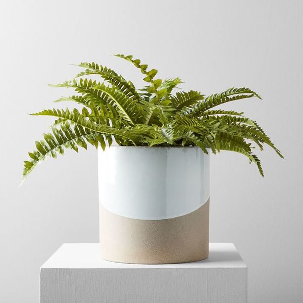 Faux potted green fern plant o