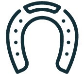 horse shoe