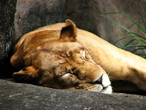 how to overcome procrastination and get more energy