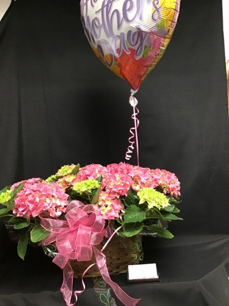 A 5 Star Customer Reviewed Flower Arrangement Designed by Expressions In Bloom in Corvallis, OR