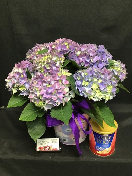 A 5 Star Customer Reviewed Flower Arrangement Designed by Expressions In Bloom in Corvallis, OR