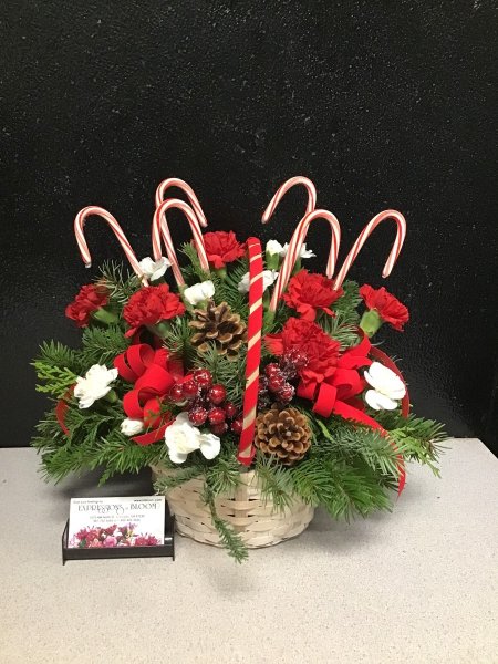 A 5 Star Customer Reviewed Flower Arrangement Designed by Expressions In Bloom in Corvallis, OR