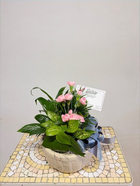 A 5 Star Customer Reviewed Flower Arrangement Designed by Salvy the Florist in Lynn, MA A 5 Star Customer Reviewed Flower Arrangement Designed by Salvy the Florist in Lynn, MA