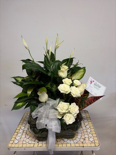 A 5 Star Customer Reviewed Flower Arrangement Designed by Salvy the Florist in Lynn, MA