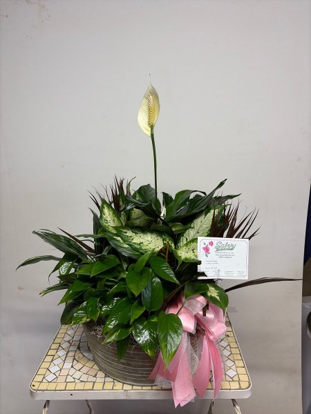 A 3 Star Customer Reviewed Flower Arrangement Designed by Salvy the Florist in Lynn, MA