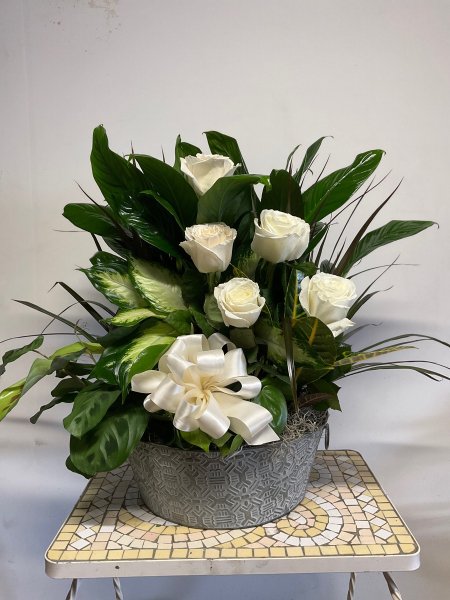 A 5 Star Customer Reviewed Flower Arrangement Designed by Salvy the Florist in Lynn, MA