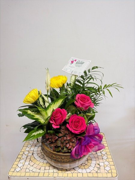 A 5 Star Customer Reviewed Flower Arrangement Designed by Salvy the Florist in Lynn, MA A 5 Star Customer Reviewed Flower Arrangement Designed by Salvy the Florist in Lynn, MA