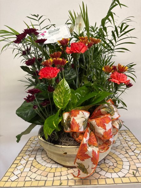 A 5 Star Customer Reviewed Flower Arrangement Designed by Salvy the Florist in Lynn, MA A 5 Star Customer Reviewed Flower Arrangement Designed by Salvy the Florist in Lynn, MA