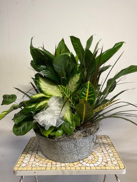 A 5 Star Customer Reviewed Flower Arrangement Designed by Salvy the Florist in Lynn, MA