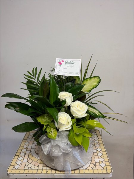A 5 Star Customer Reviewed Flower Arrangement Designed by Salvy the Florist in Lynn, MA A 5 Star Customer Reviewed Flower Arrangement Designed by Salvy the Florist in Lynn, MA