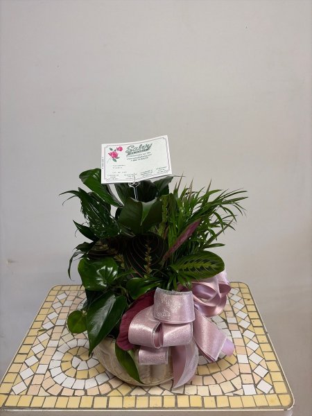 A 5 Star Customer Reviewed Flower Arrangement Designed by Salvy the Florist in Lynn, MA A 5 Star Customer Reviewed Flower Arrangement Designed by Salvy the Florist in Lynn, MA