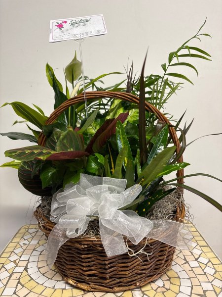 A 5 Star Customer Reviewed Flower Arrangement Designed by Salvy the Florist in Lynn, MA A 5 Star Customer Reviewed Flower Arrangement Designed by Salvy the Florist in Lynn, MA
