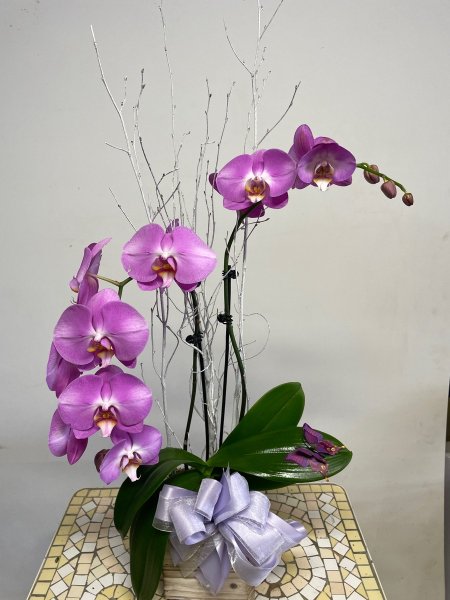 A 5 Star Customer Reviewed Flower Arrangement Designed by Salvy the Florist in Lynn, MA