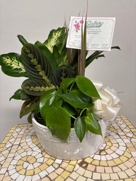 A 5 Star Customer Reviewed Flower Arrangement Designed by Salvy the Florist in Lynn, MA