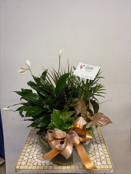 A 5 Star Customer Reviewed Flower Arrangement Designed by Salvy the Florist in Lynn, MA A 5 Star Customer Reviewed Flower Arrangement Designed by Salvy the Florist in Lynn, MA