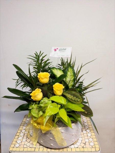 A 5 Star Customer Reviewed Flower Arrangement Designed by Salvy the Florist in Lynn, MA A 5 Star Customer Reviewed Flower Arrangement Designed by Salvy the Florist in Lynn, MA