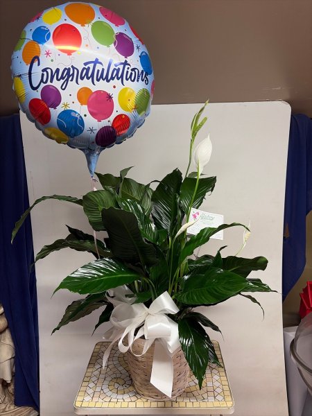 A 5 Star Customer Reviewed Flower Arrangement Designed by Salvy the Florist in Lynn, MA A 5 Star Customer Reviewed Flower Arrangement Designed by Salvy the Florist in Lynn, MA