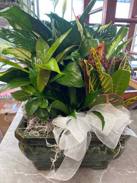 A 5 Star Customer Reviewed Flower Arrangement Designed by Salvy the Florist in Lynn, MA