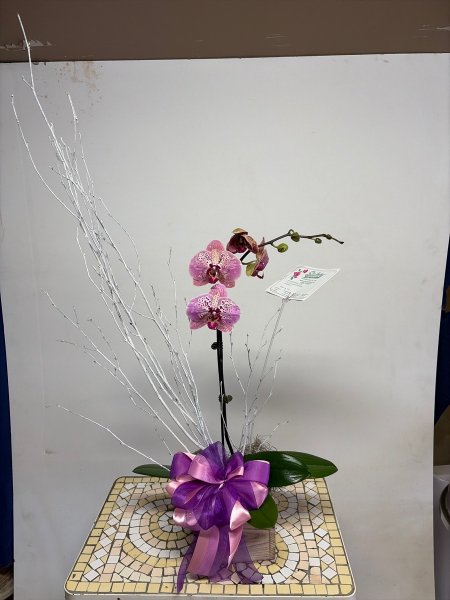 A 5 Star Customer Reviewed Flower Arrangement Designed by Salvy the Florist in Lynn, MA