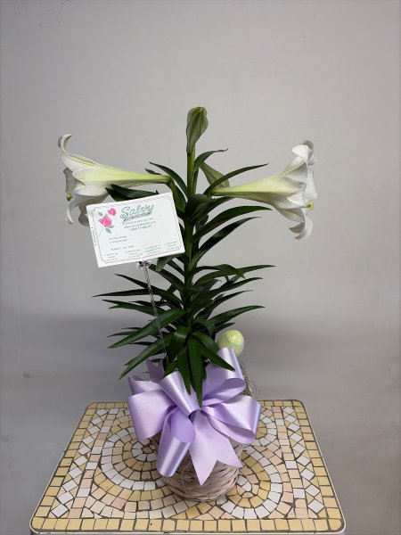A 5 Star Customer Reviewed Flower Arrangement Designed by Salvy the Florist in Lynn, MA