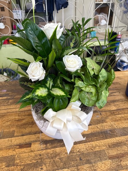 A 5 Star Customer Reviewed Flower Arrangement Designed by Salvy the Florist in Lynn, MA A 5 Star Customer Reviewed Flower Arrangement Designed by Salvy the Florist in Lynn, MA