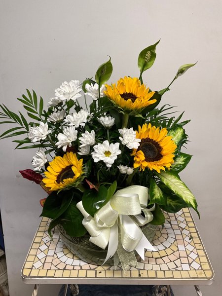A 5 Star Customer Reviewed Flower Arrangement Designed by Salvy the Florist in Lynn, MA A 5 Star Customer Reviewed Flower Arrangement Designed by Salvy the Florist in Lynn, MA