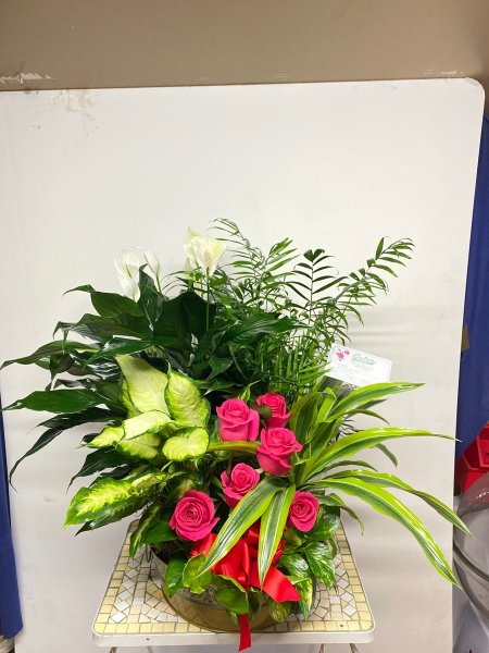 A 5 Star Customer Reviewed Flower Arrangement Designed by Salvy the Florist in Lynn, MA A 5 Star Customer Reviewed Flower Arrangement Designed by Salvy the Florist in Lynn, MA
