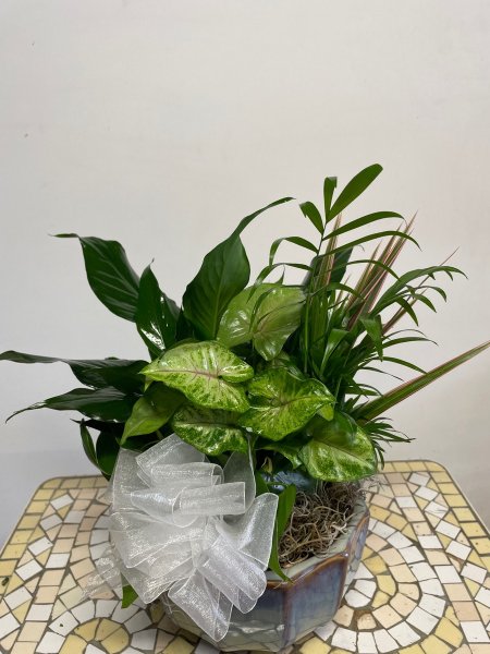 A 5 Star Customer Reviewed Flower Arrangement Designed by Salvy the Florist in Lynn, MA