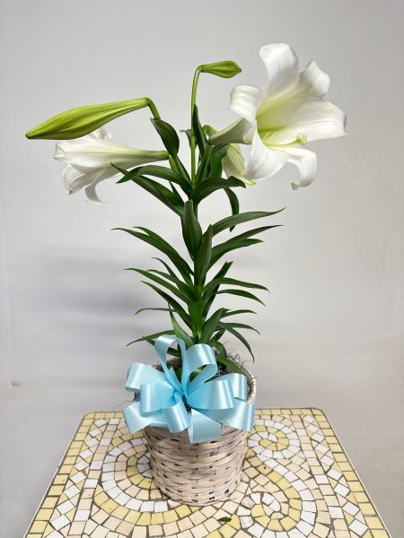 A 5 Star Customer Reviewed Flower Arrangement Designed by Salvy the Florist in Lynn, MA