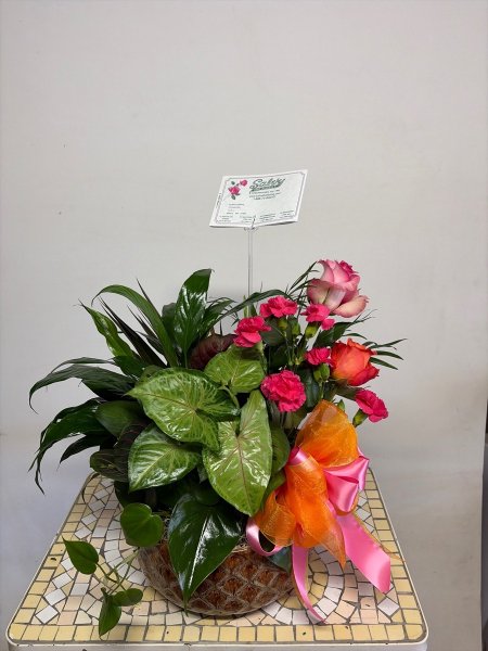 A 5 Star Customer Reviewed Flower Arrangement Designed by Salvy the Florist in Lynn, MA A 5 Star Customer Reviewed Flower Arrangement Designed by Salvy the Florist in Lynn, MA
