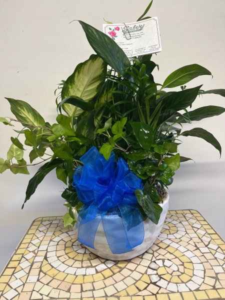 A 5 Star Customer Reviewed Flower Arrangement Designed by Salvy the Florist in Lynn, MA