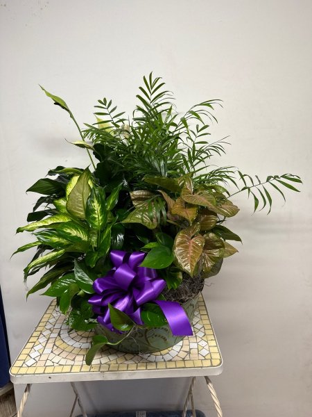 A 5 Star Customer Reviewed Flower Arrangement Designed by Salvy the Florist in Lynn, MA A 5 Star Customer Reviewed Flower Arrangement Designed by Salvy the Florist in Lynn, MA