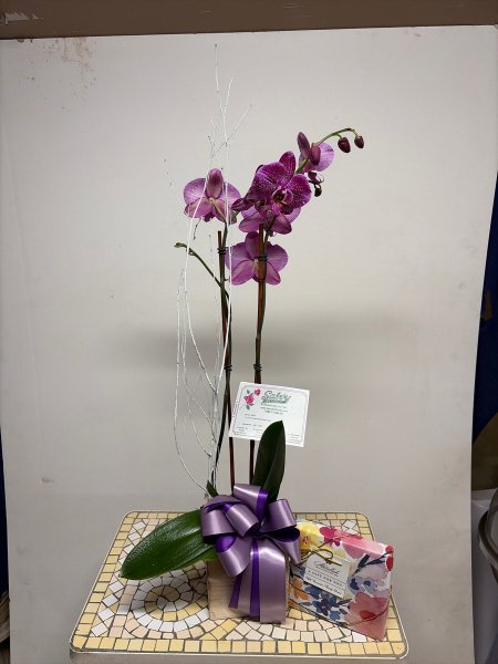 A 5 Star Customer Reviewed Flower Arrangement Designed by Salvy the Florist in Lynn, MA