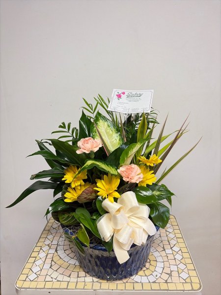 A 5 Star Customer Reviewed Flower Arrangement Designed by Salvy the Florist in Lynn, MA A 5 Star Customer Reviewed Flower Arrangement Designed by Salvy the Florist in Lynn, MA