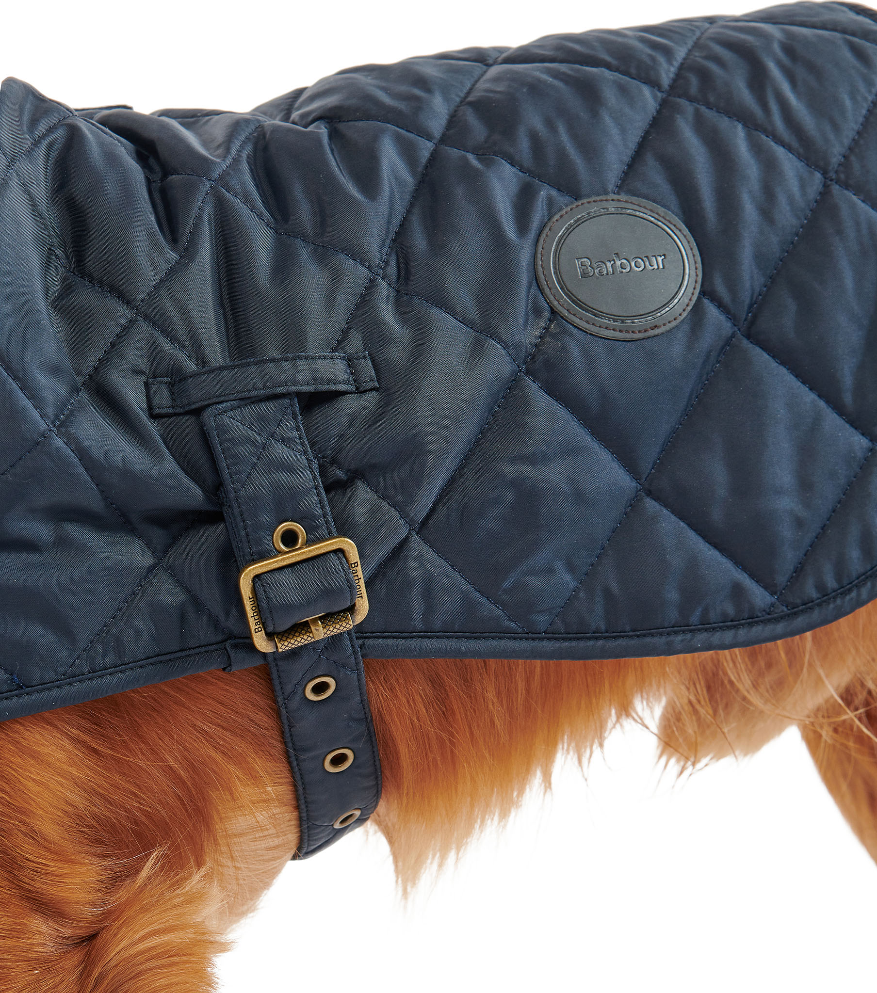 Barbour Quilted Dog Coat | Altitude Sports