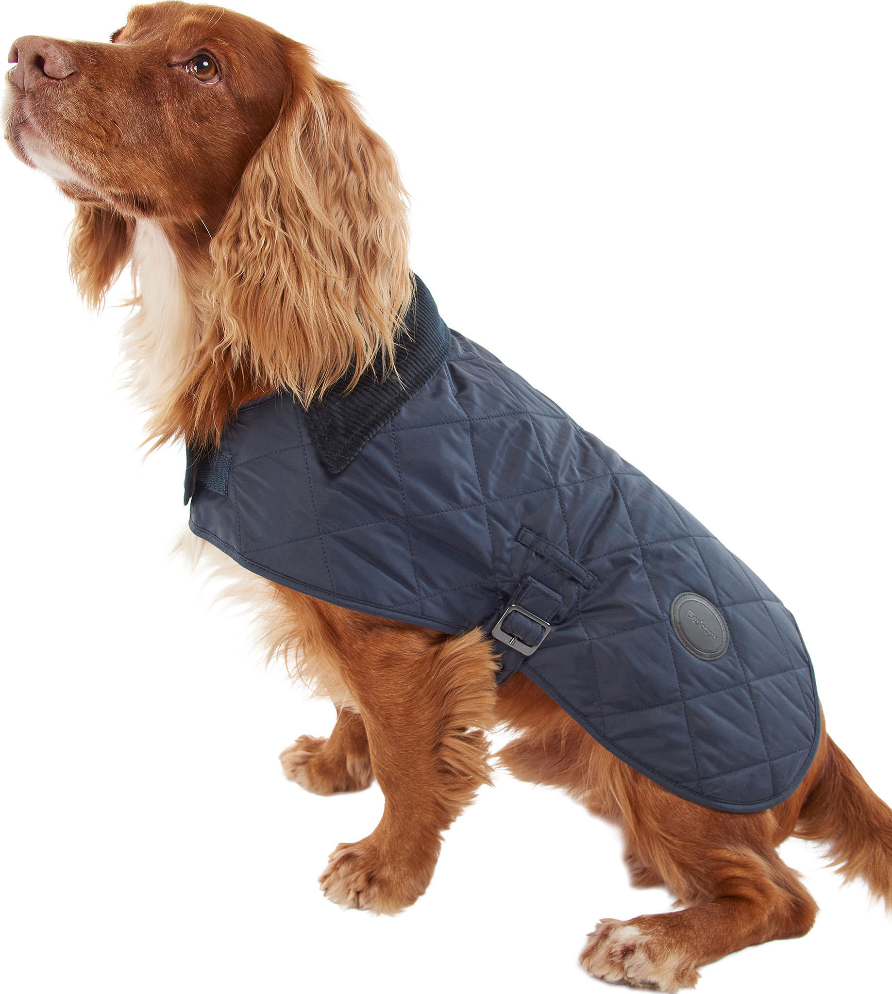 Barbour Quilted Dog Coat | Altitude Sports