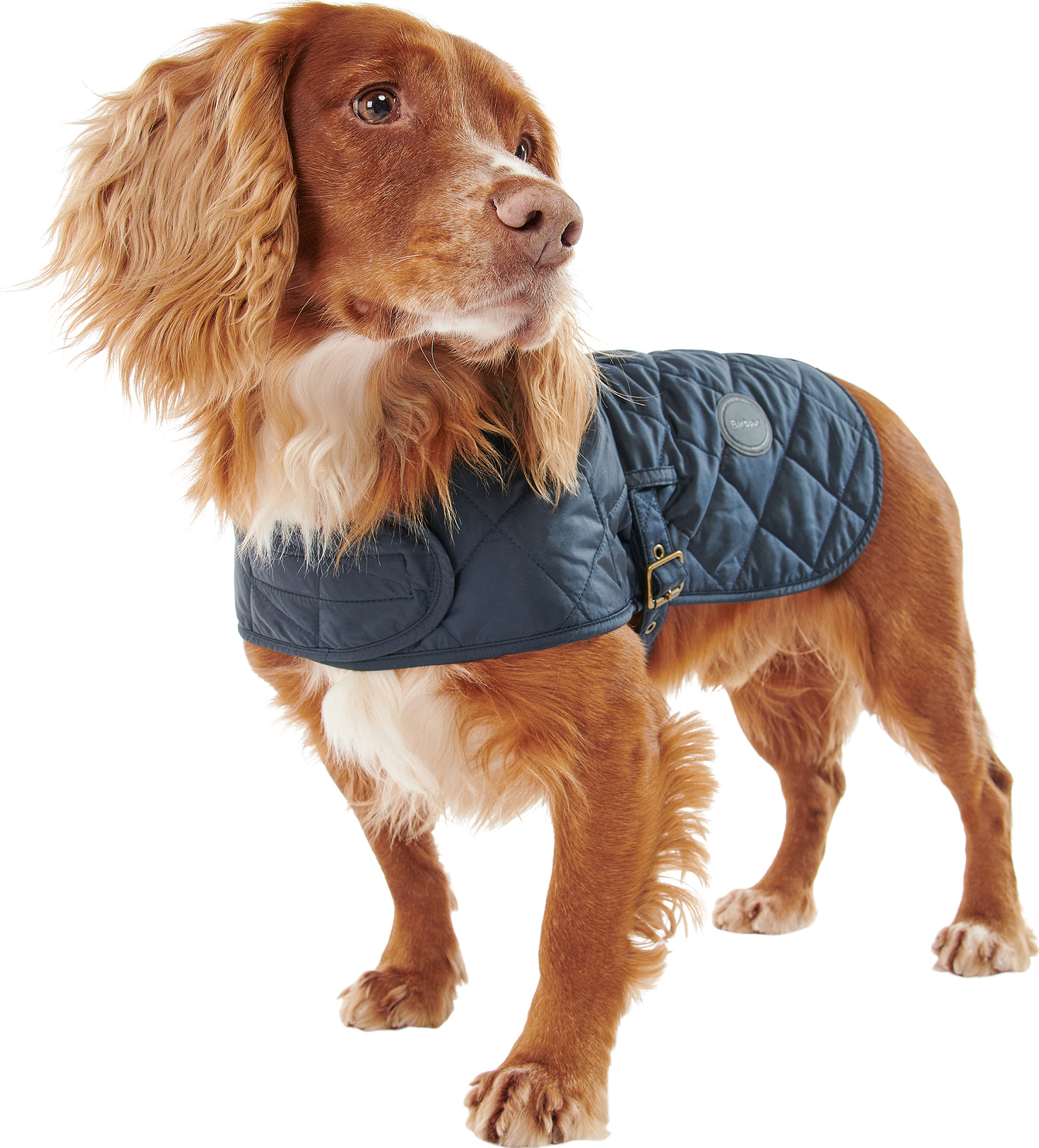 Barbour Quilted Dog Coat | Altitude Sports