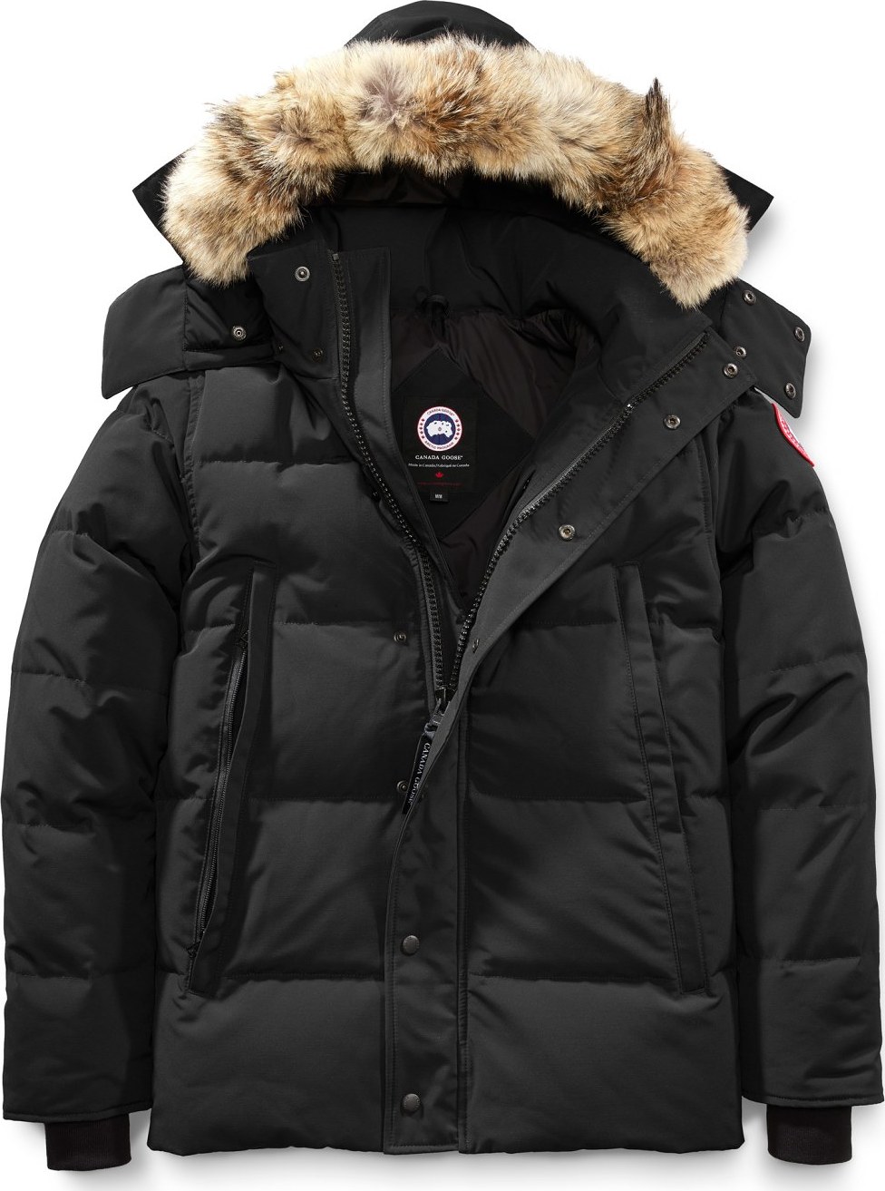 cgo-3808m_black.jpg