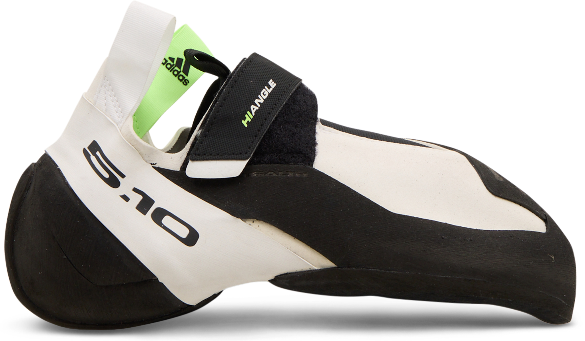 Miniature Mini Doodle Size Miniature Goldendoodle Size Teacup