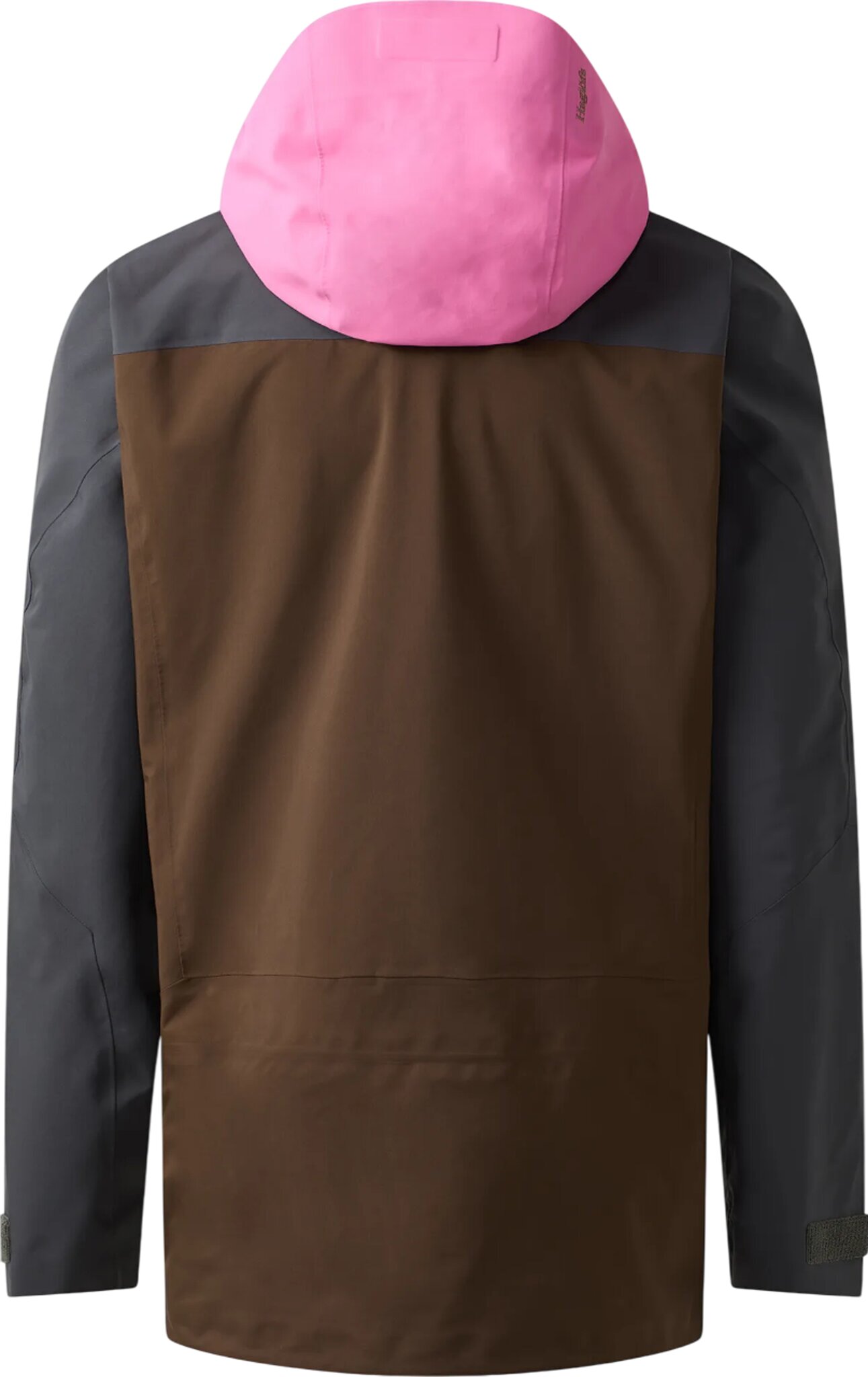 Haglöfs Vassi GTX Pro II Ski Jacket - Men's | Altitude Sports