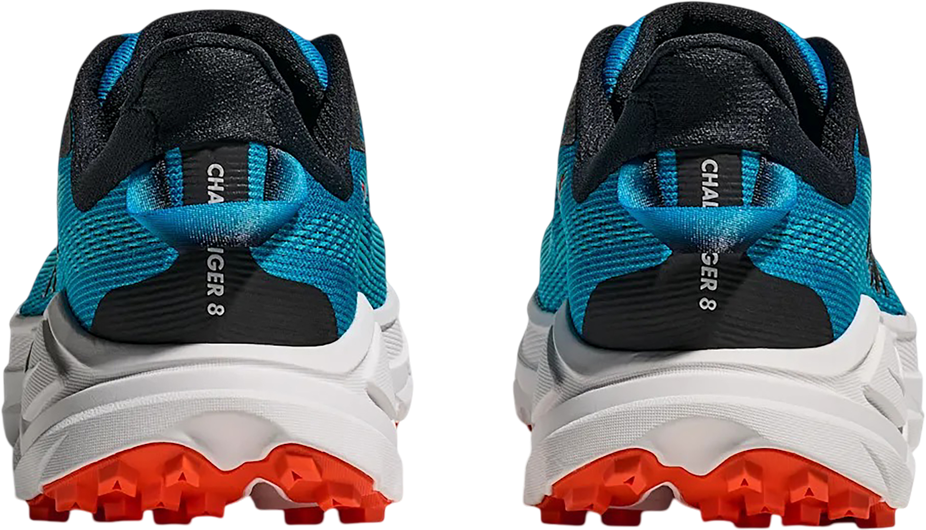 hoo-1168716__back-skyward-blue