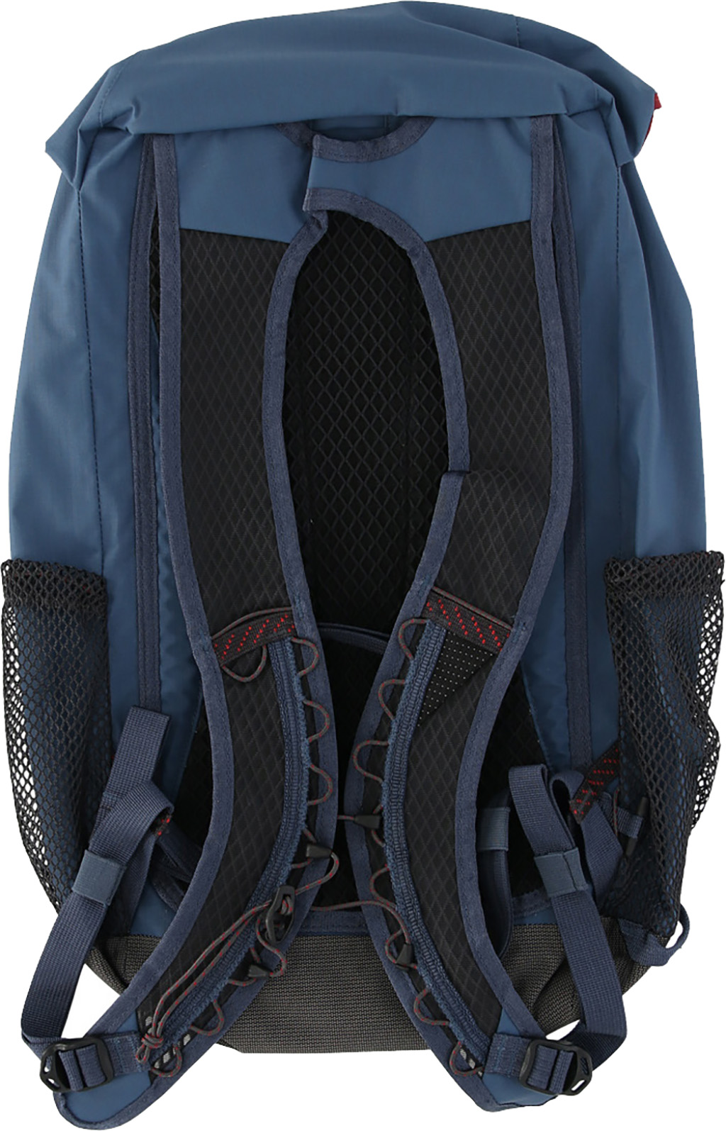 kla-40432u11__back-monkshood-