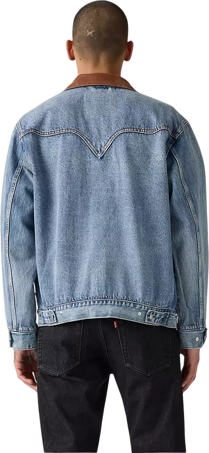 Levi's Western Shorthorn Trucker Jacket - Men's | Altitude Sports