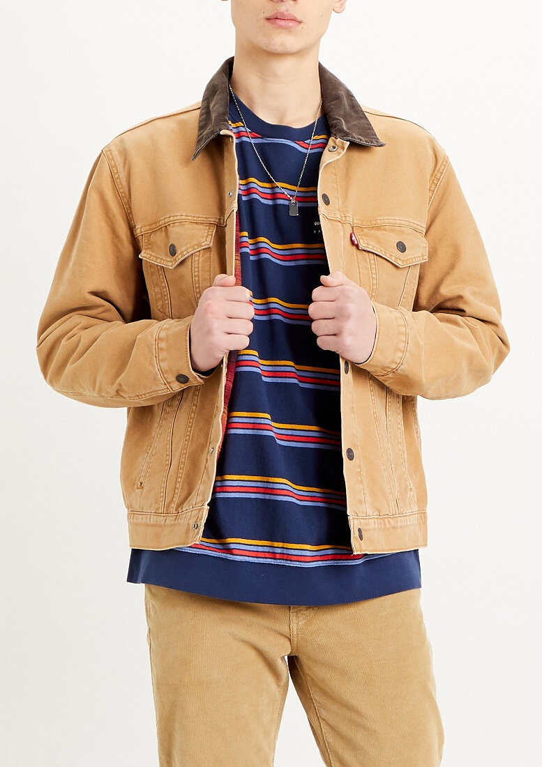 Levi's Lined Trucker Jacket - Men's | Altitude Sports