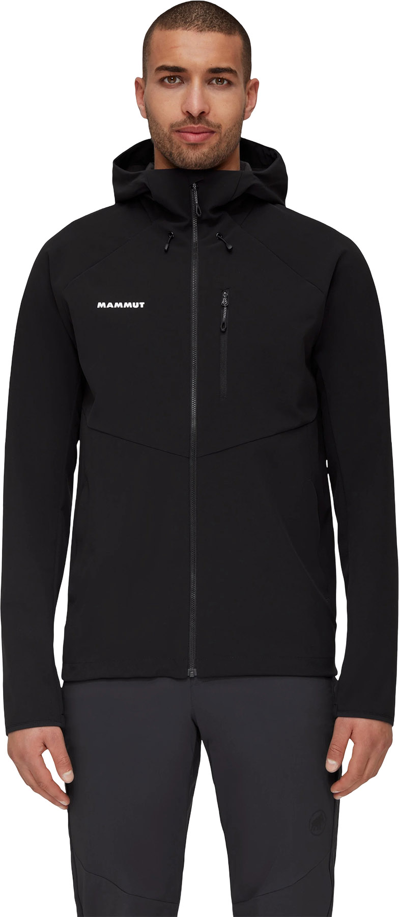 Mammut Ultimate Comfort Softshell Hooded Jacket - Men's | Altitude