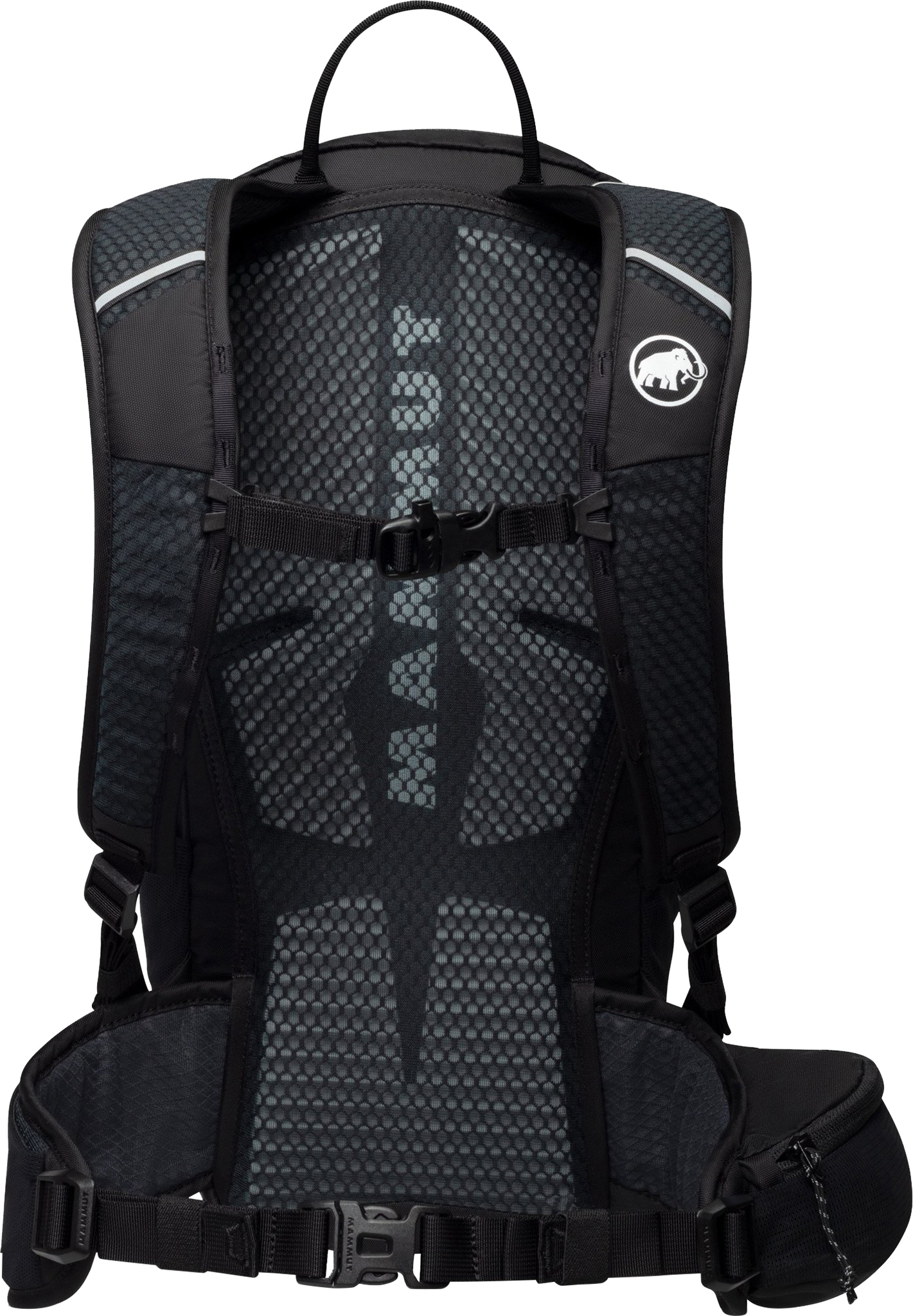 mam-2530-03172__back-black.jpg