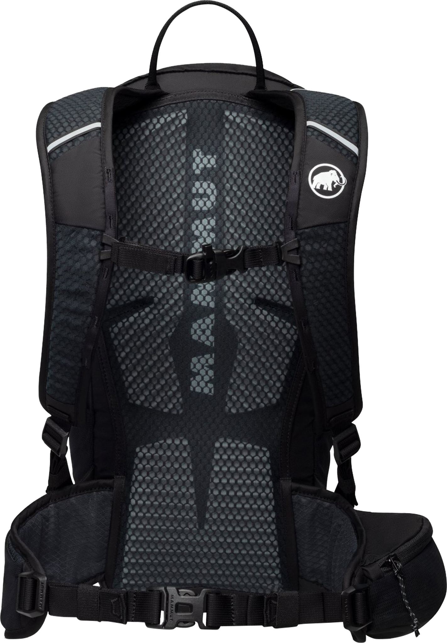 mam-2530-03172__back-sapphire-