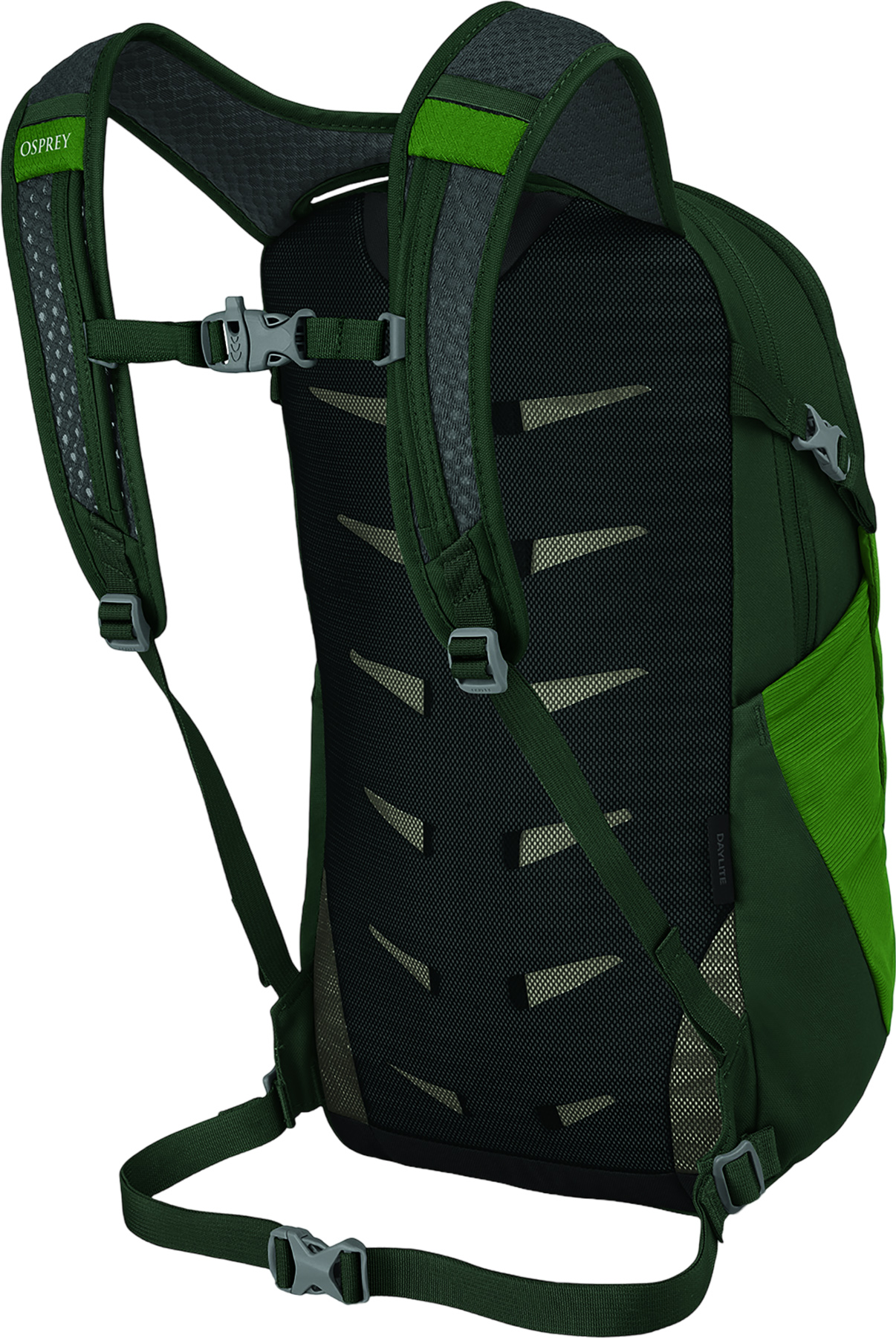 osp-10006029__back-green-belt-